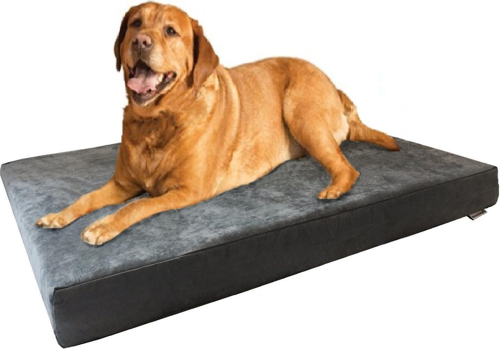 dogbed4less xl orthopedic memory foam dog bed with, main product view