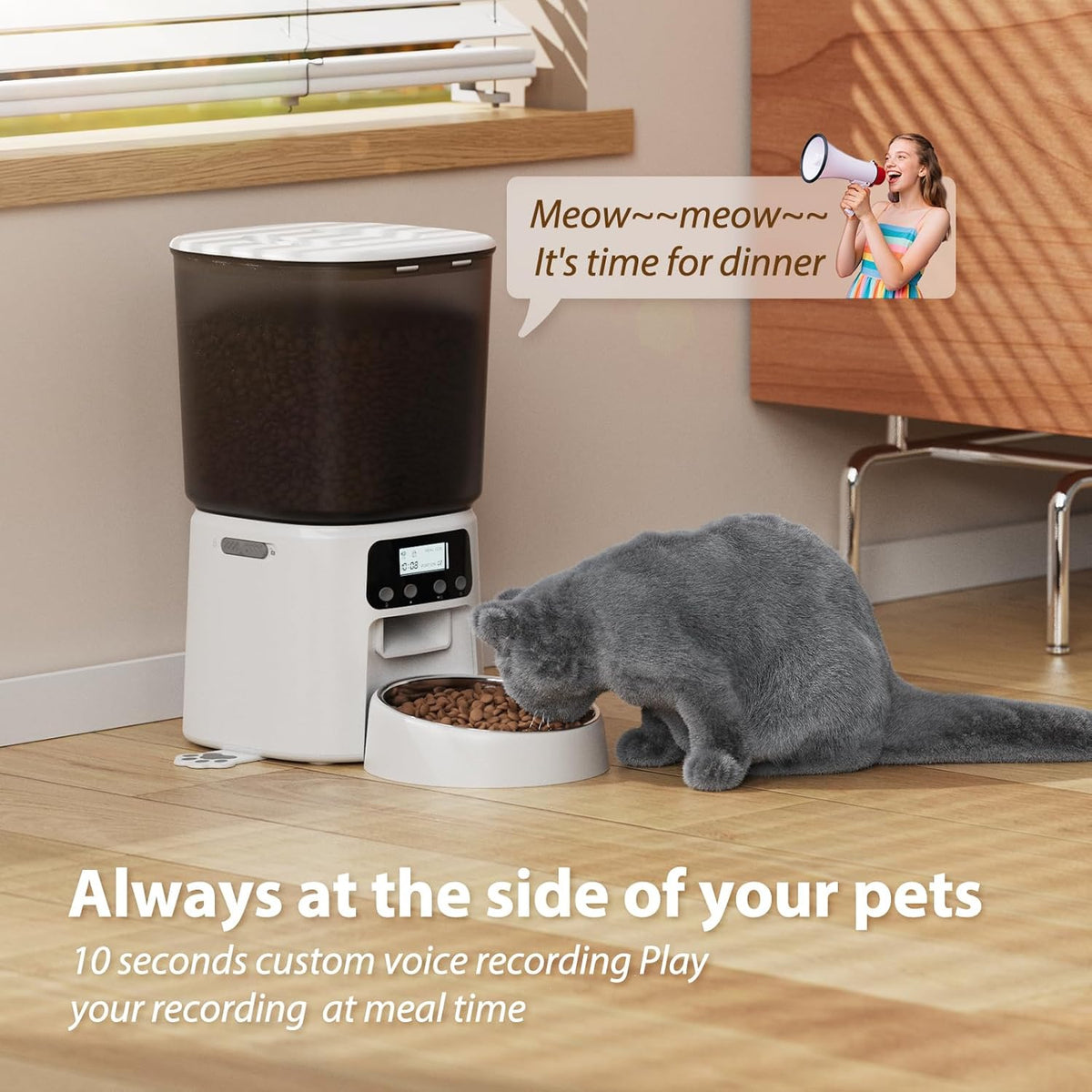 petrice automatic cat feeder, 4l/16cups cat food dispenser showing dimensions