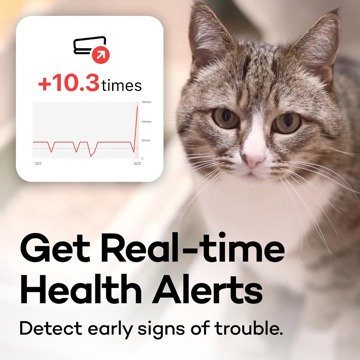 board - smart litter box monitoring system, healthcare, close-up detail