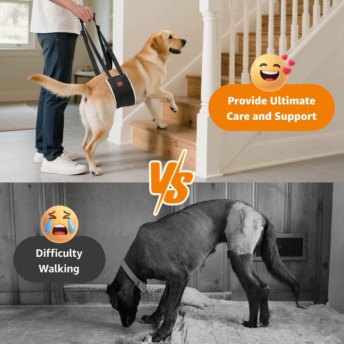 loobani portable dog sling for back legs, hip shown in use
