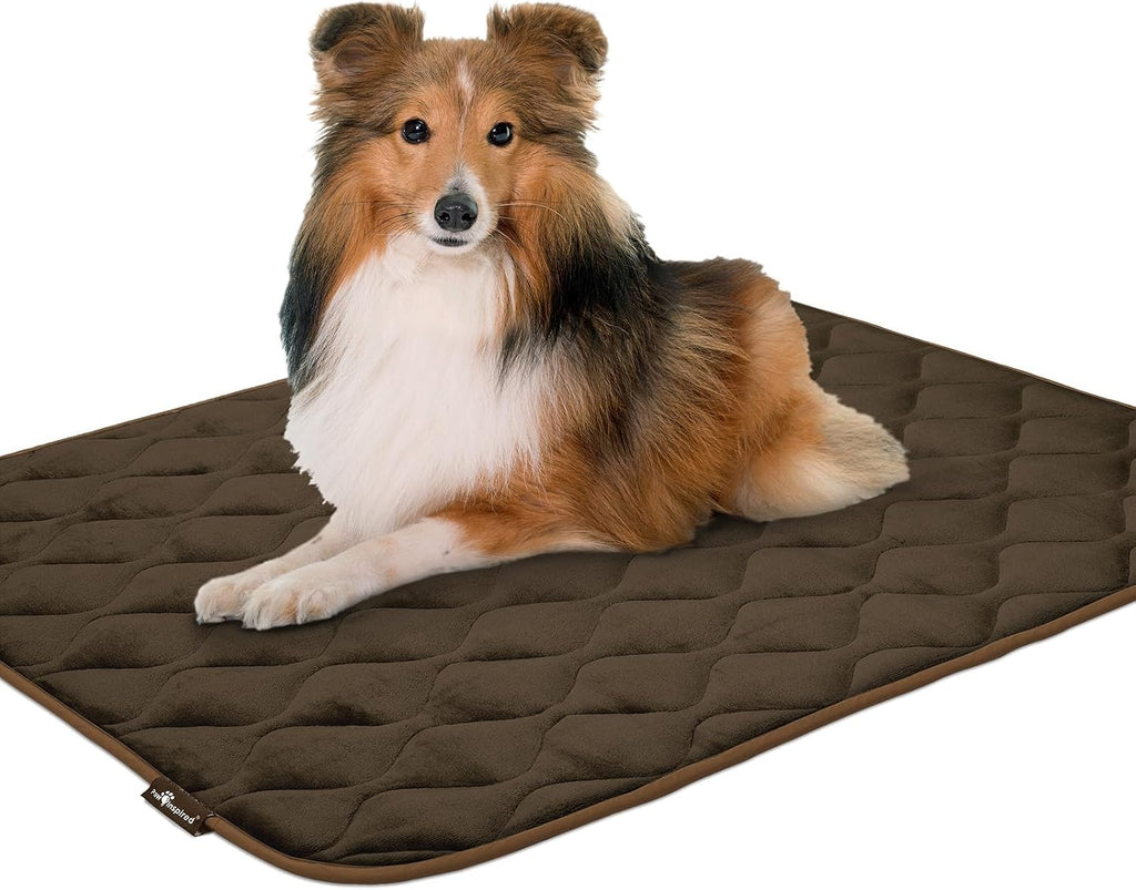 paw inspired washable padded crate mats for dogs on a desk or shelf
