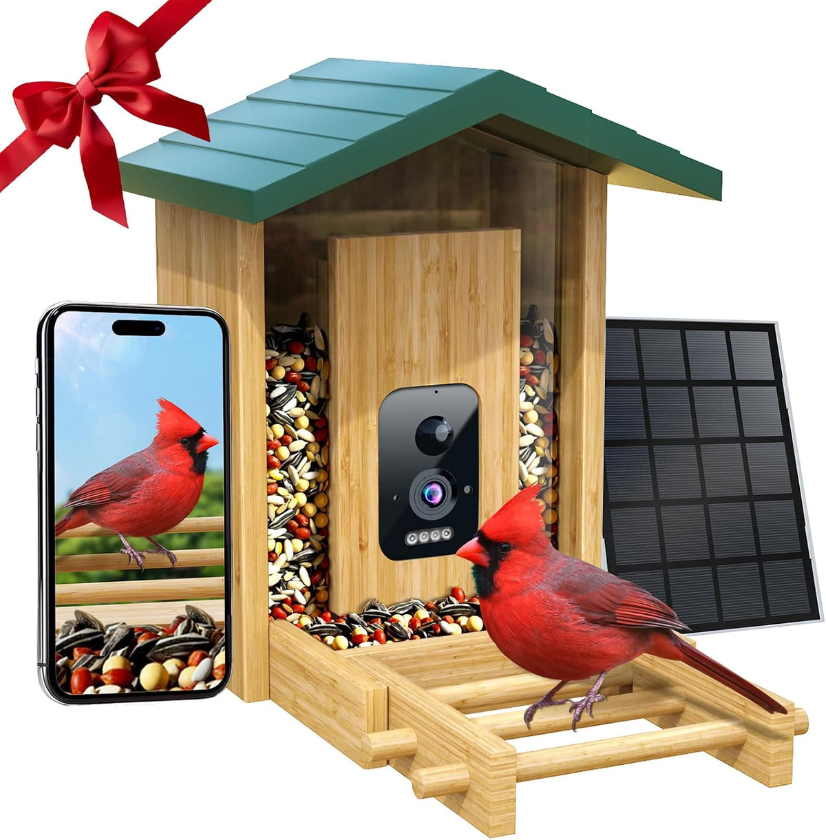 bird feeder020-1, main product view