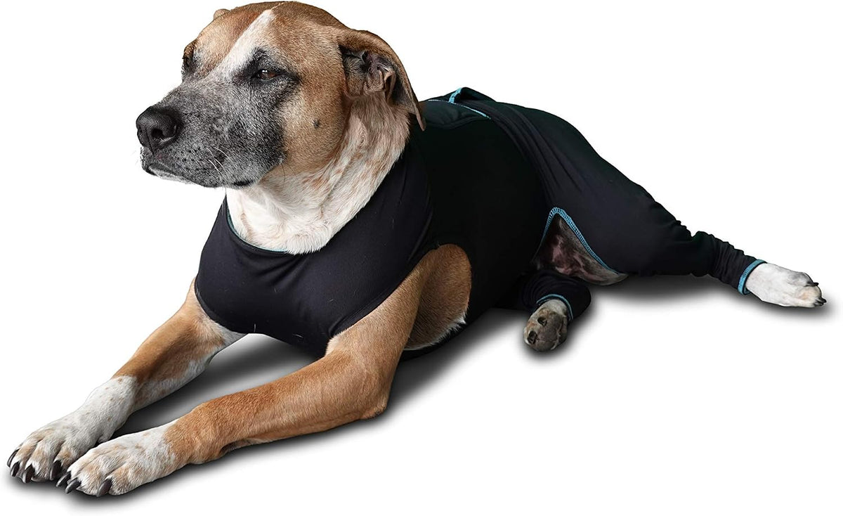 benefab therapeutic comfort suit for dogs — lightweight, side view