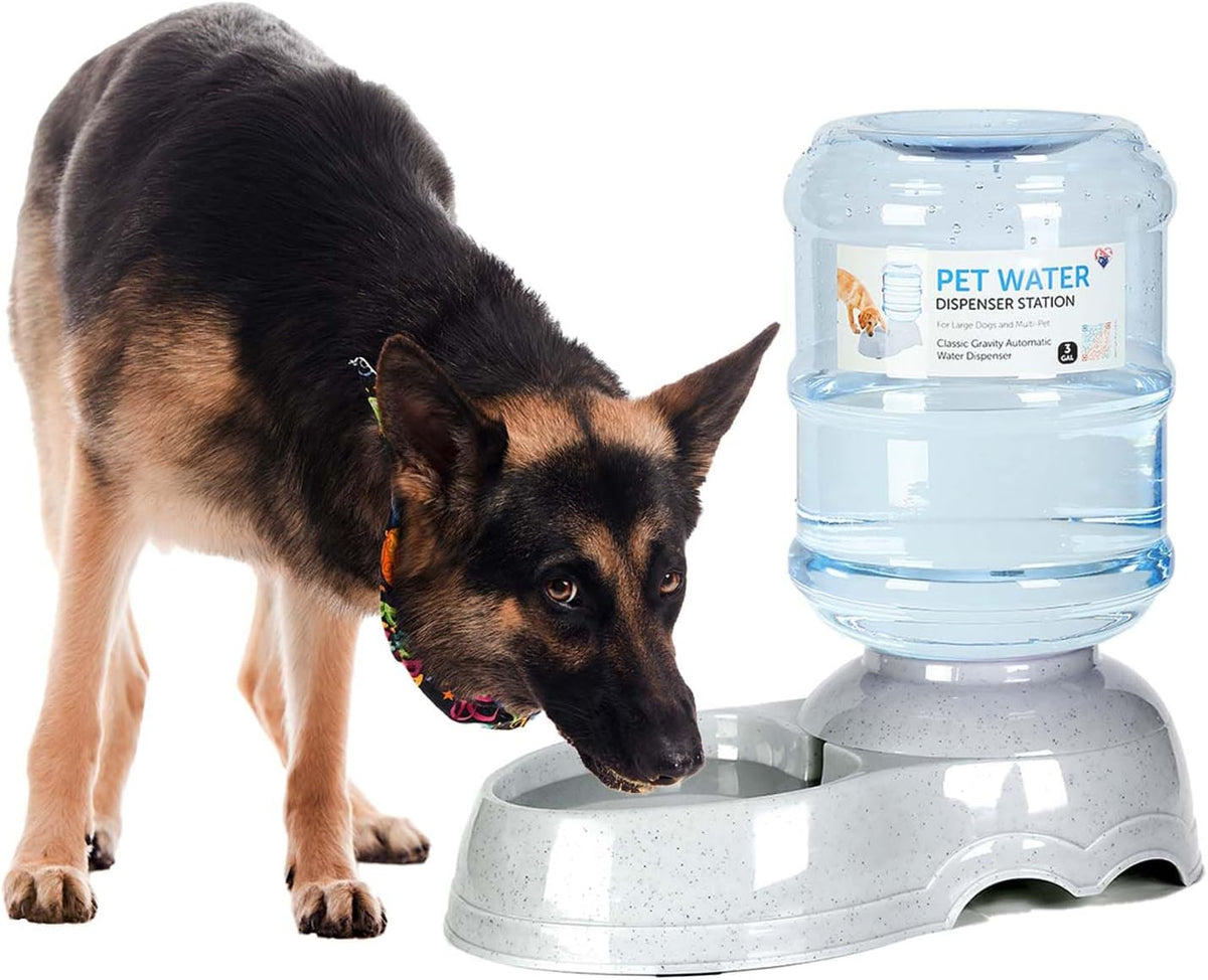 3 gallon dog water dispenser for large dogs, main product view
