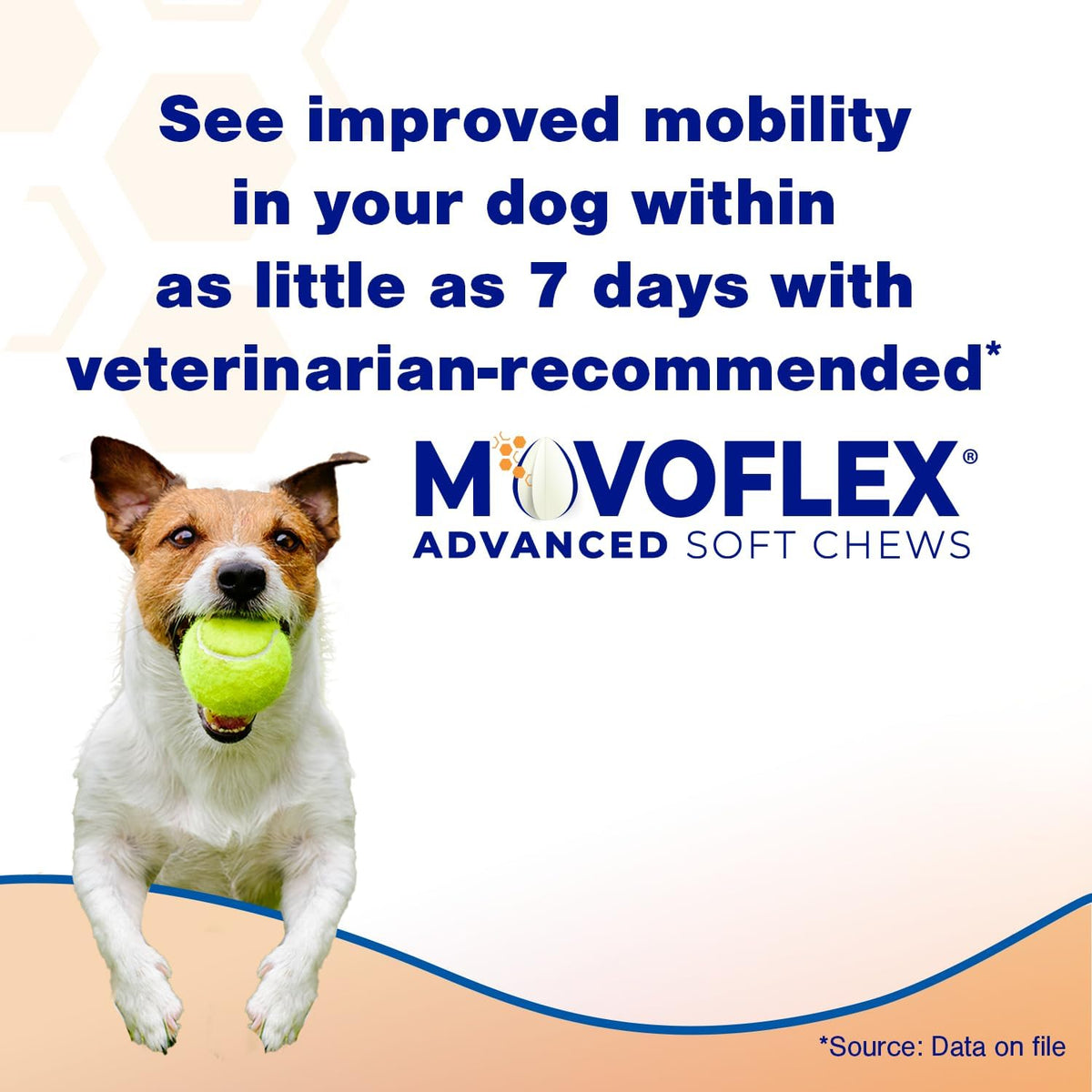 movoflex advanced soft chews hip and joint support shown in use