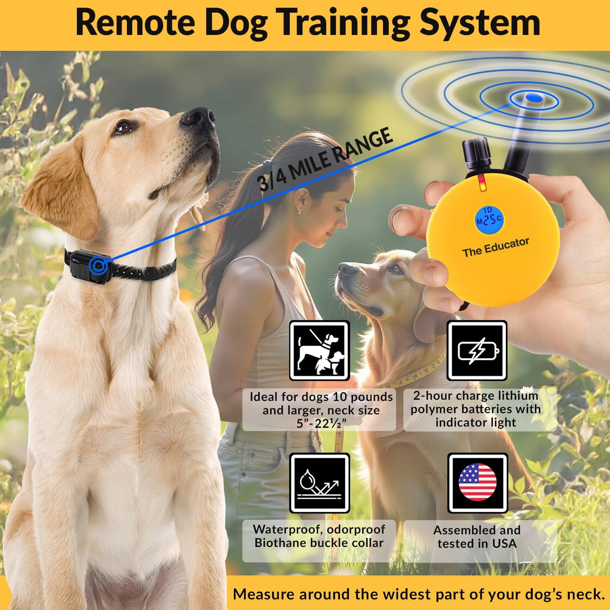 e-collar educator et-402 dog training collar, 2 dog, close-up detail