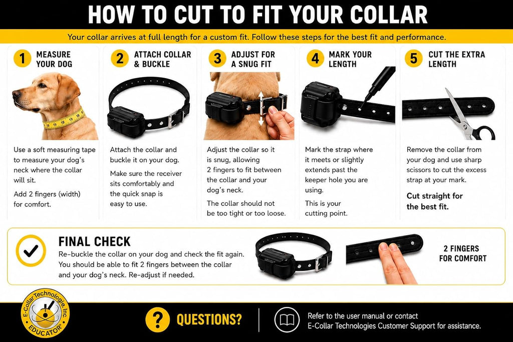 e-collar educator et-300-tv remote dog training collar, yellow, front angle view