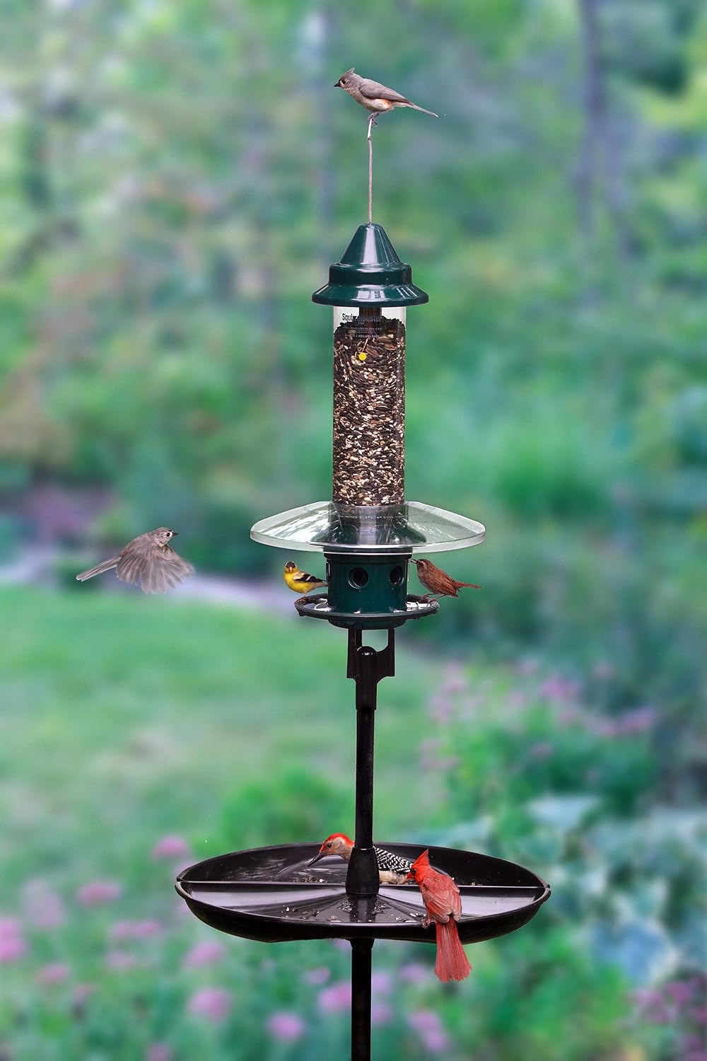 complete bird feeding station with squirrel buster plus, close-up detail