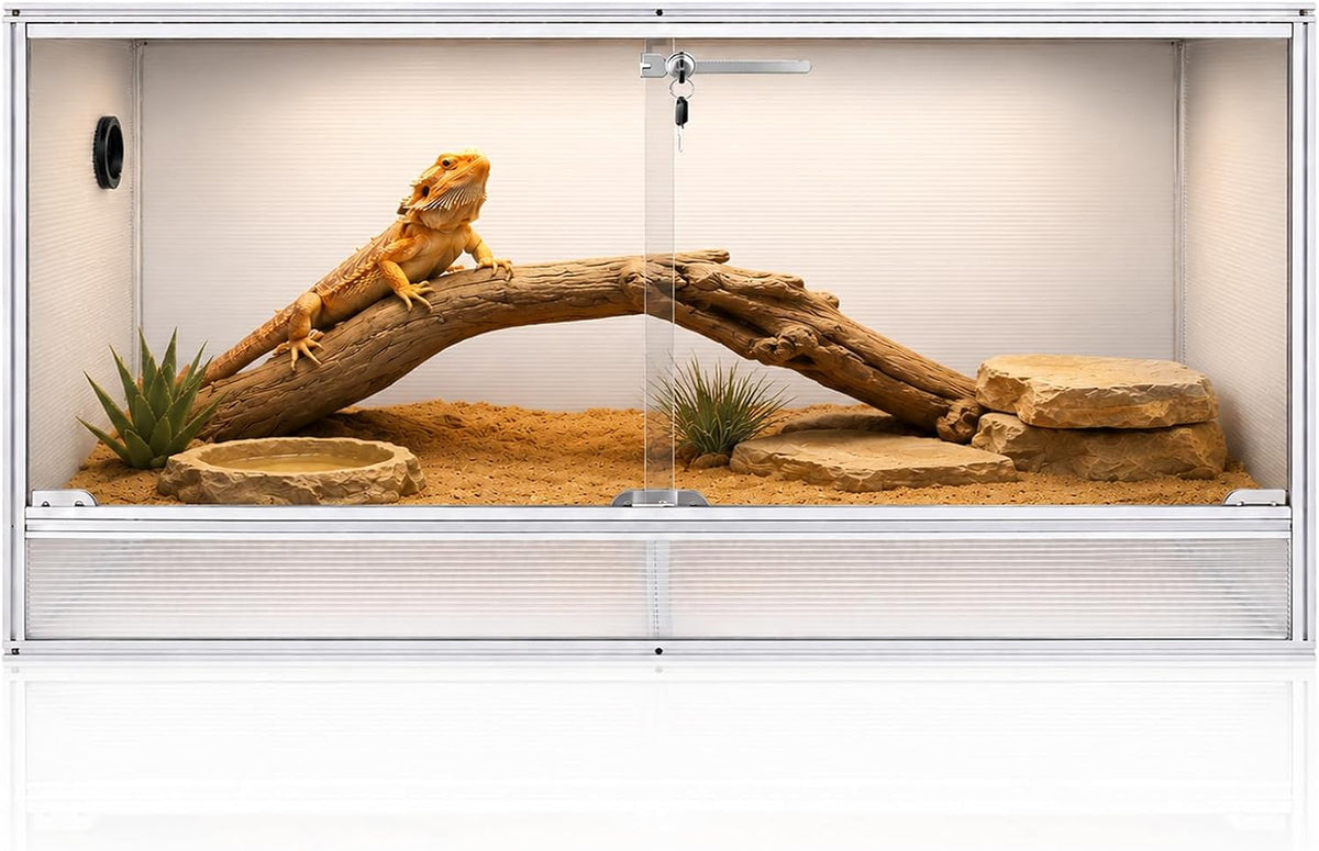 120 gallon bearded dragon tank, 48x24x24 reptile enclosure shown in use