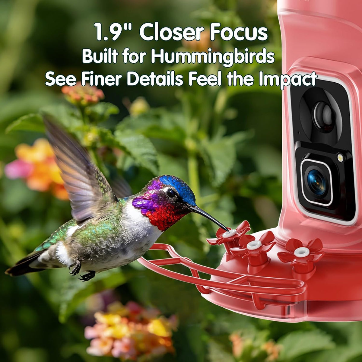 4k hummingbird feeder with camera,no subscription,solar powered, side view