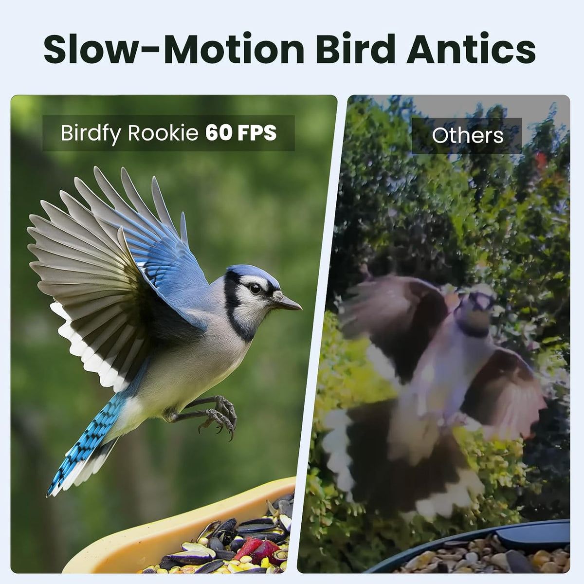 birdfy smart bird feeder with camera for beginners, close-up detail