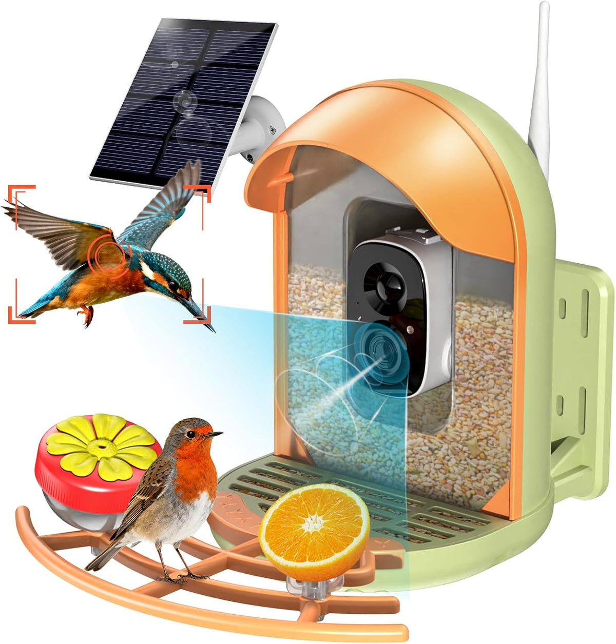 bird feeder with camera, 2k hd, ai recognition, main product view