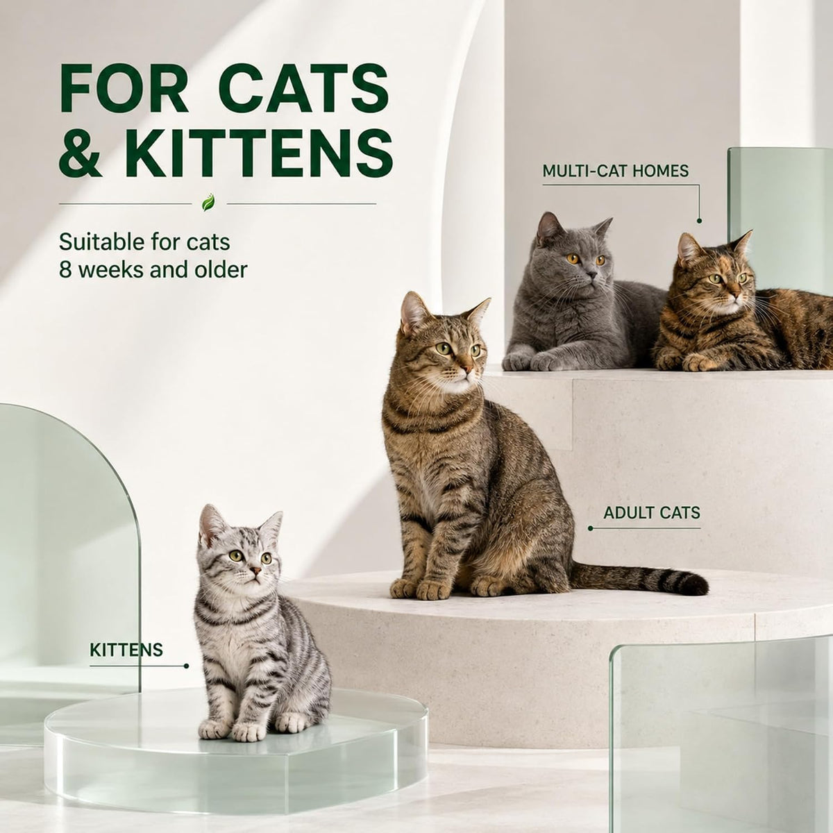 cat dewormer for cats & kittens, broad-spectrum liquid showing dimensions
