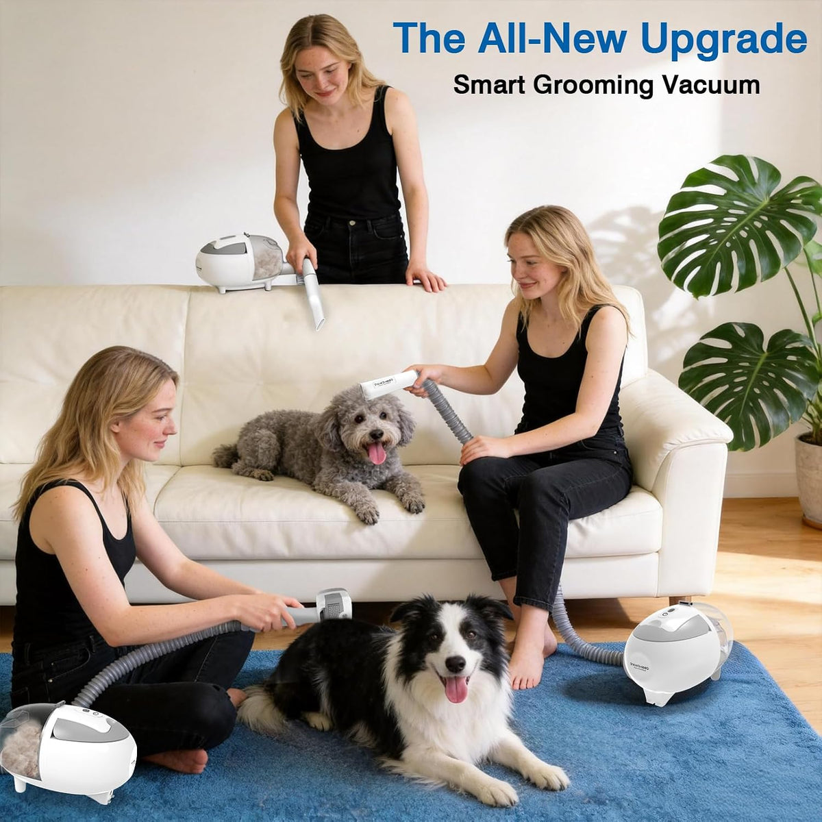 upgrade dog grooming vacuum, quiet dog groomimg kit shown in use