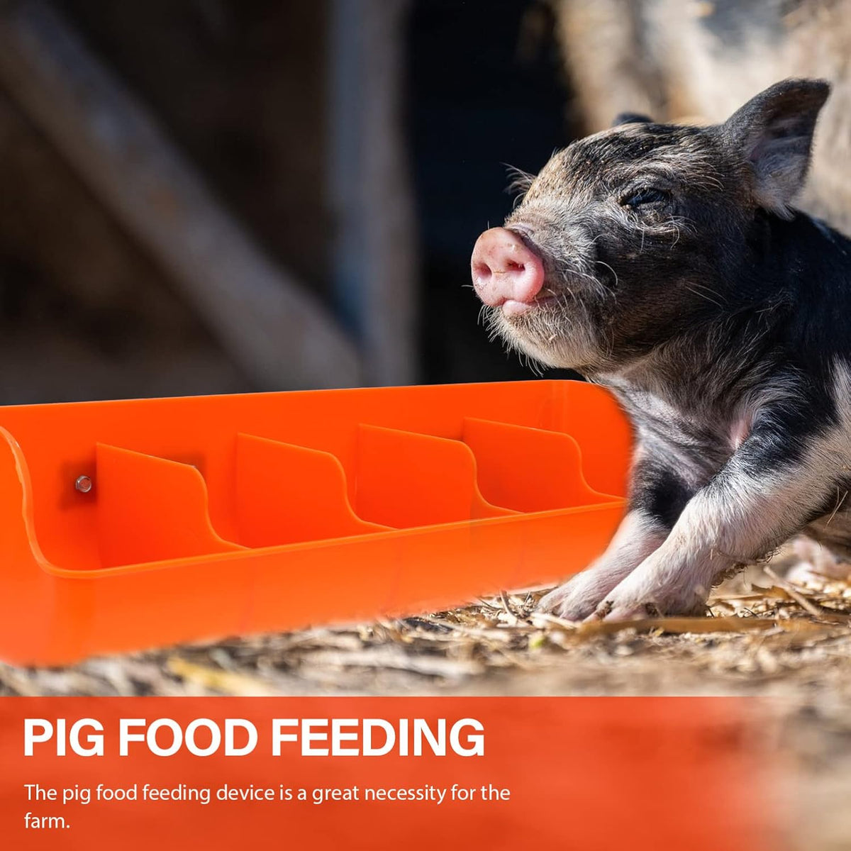 ganazono pig feeding trough 5-compartment for piglets 2-pack, side view