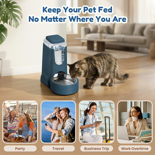 1 gallon automatic cat feeder gravity stainless steel shown in use