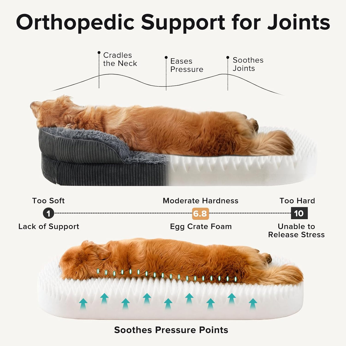 invenho fluffy orthopedic dog beds large sized dog shown in use
