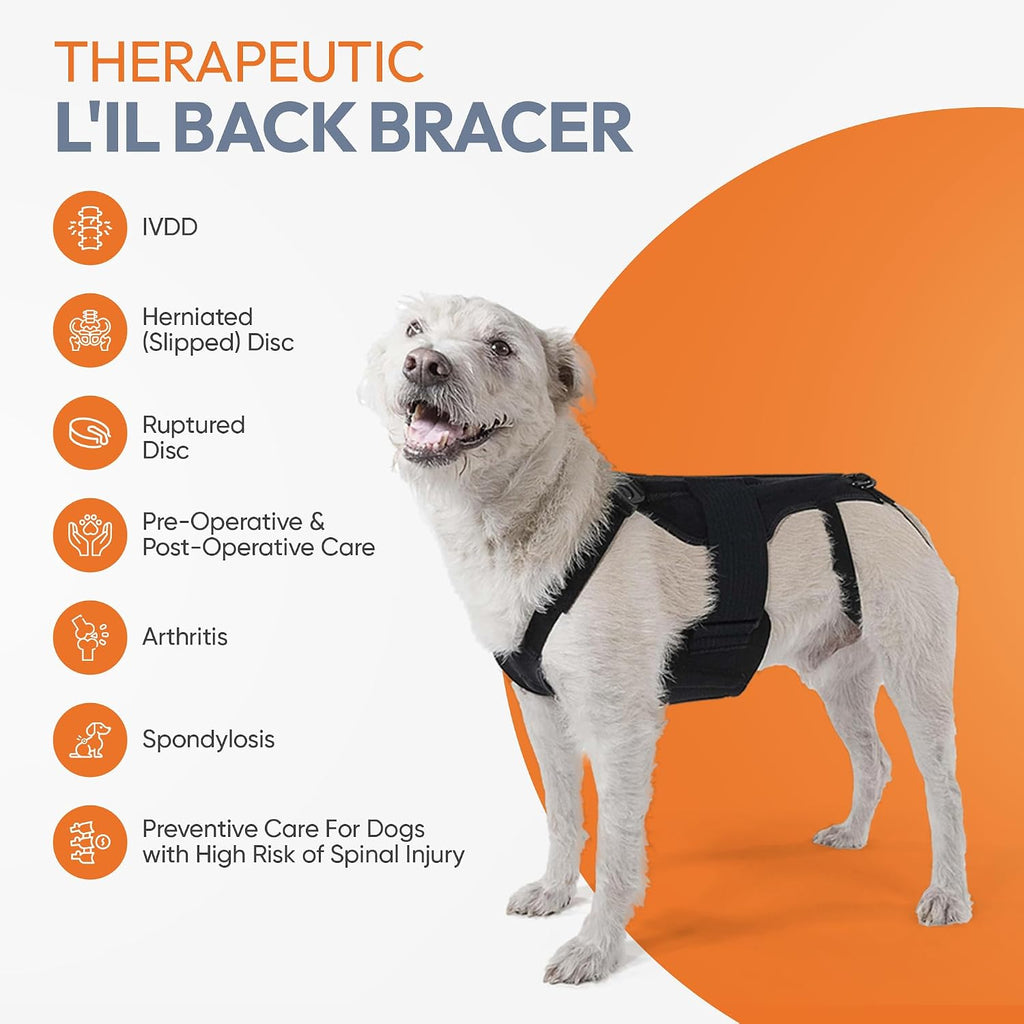 dog back brace for ivdd - orthopedic support, front angle view