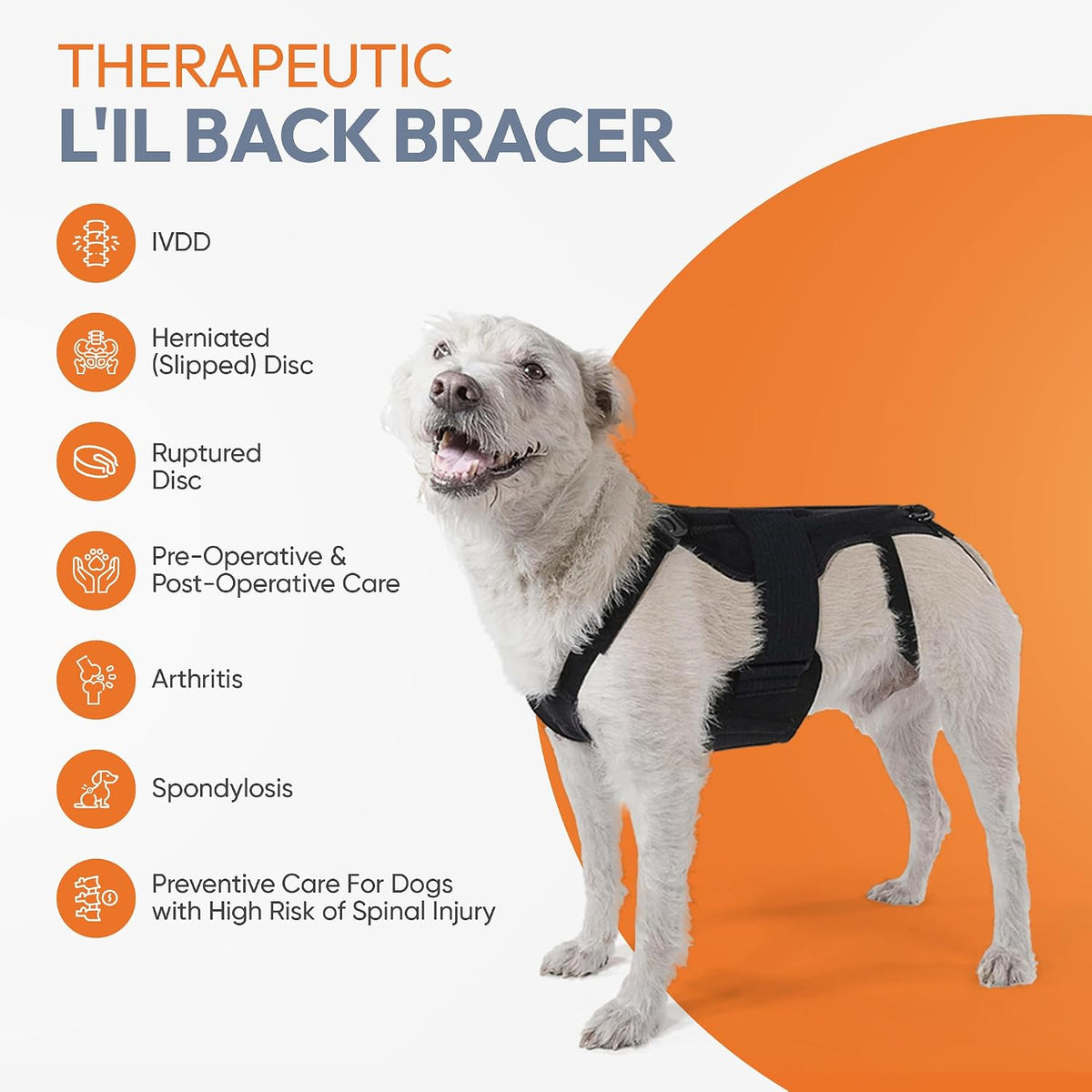 dog back brace for ivdd - orthopedic support, front angle view