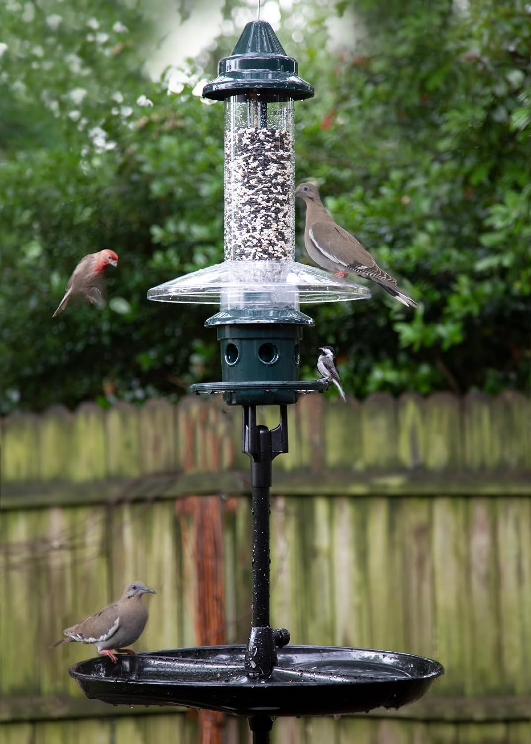complete bird feeding station with squirrel buster plus, side view