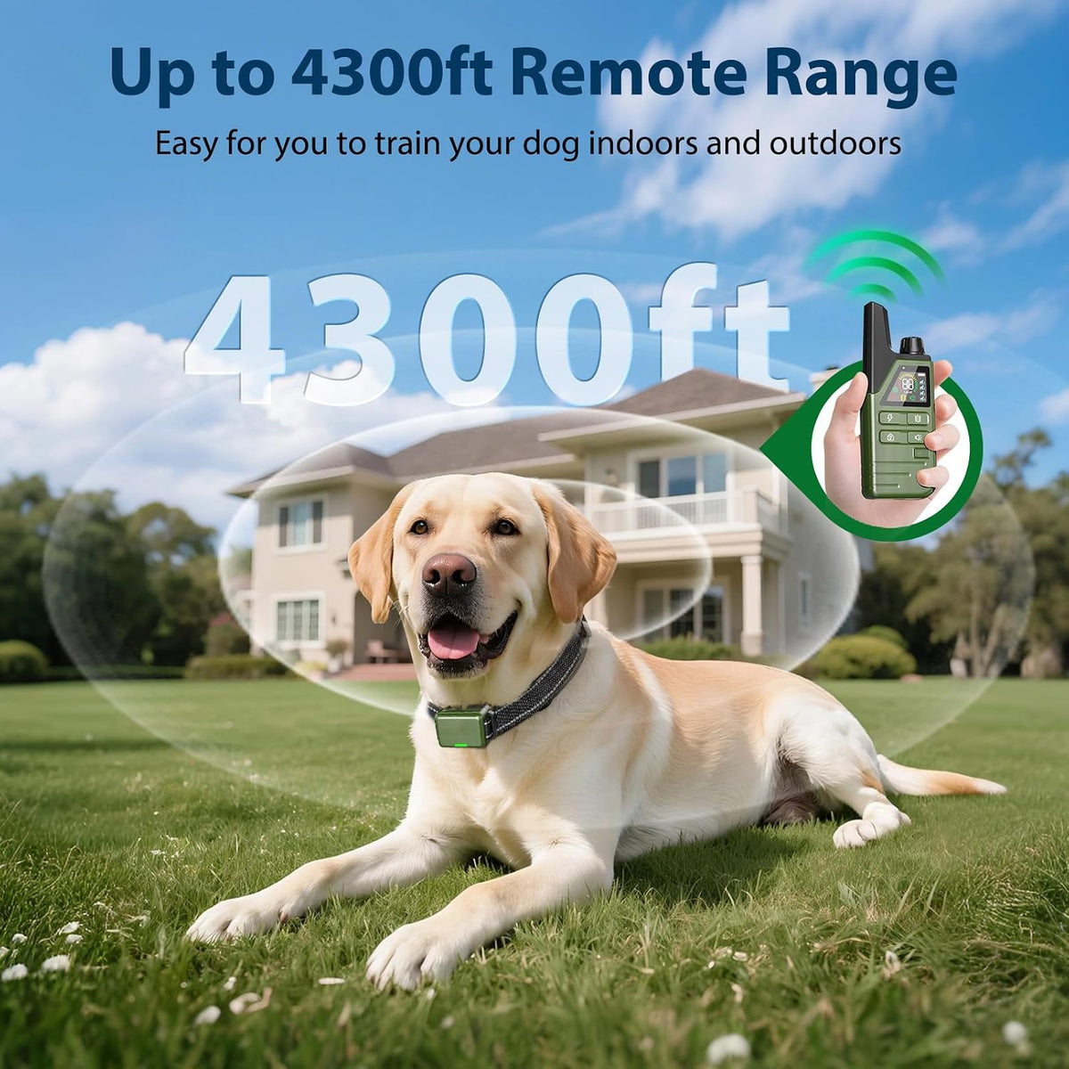 shock collar for 3 dogs, 4200ft remote dog, close-up detail