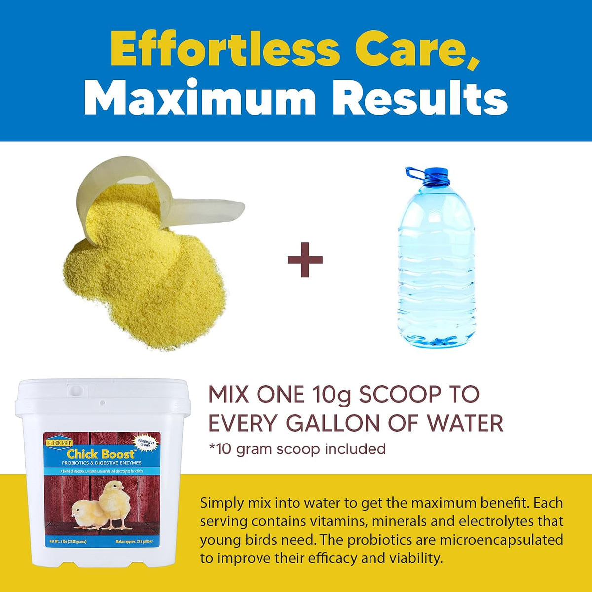 equerry's flock pro chick boost probiotic - probiotics showing dimensions