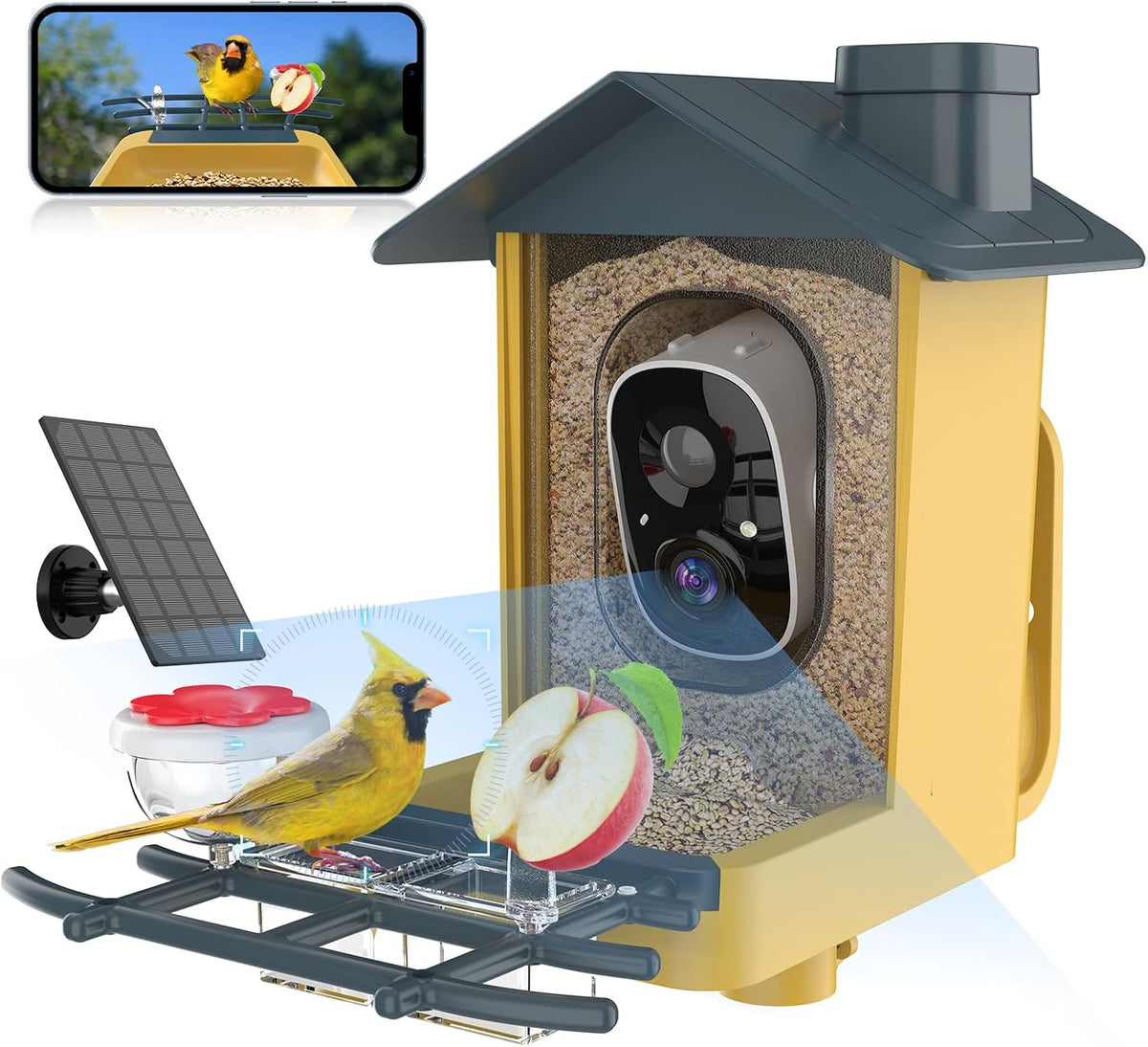 bird feeder with camera - ai identify bird, main product view