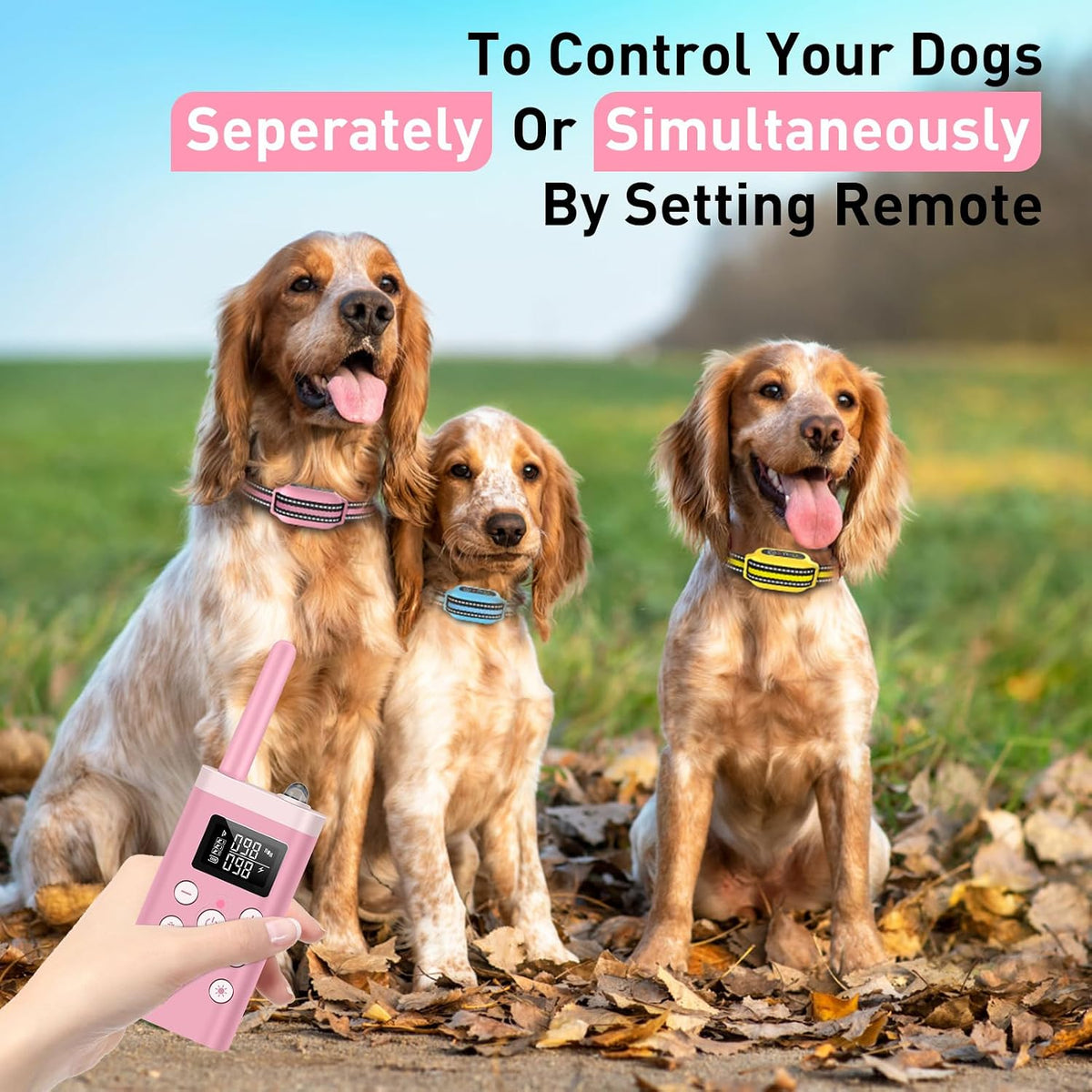 petjoy dog bark collar with remote, shock collar shown in use