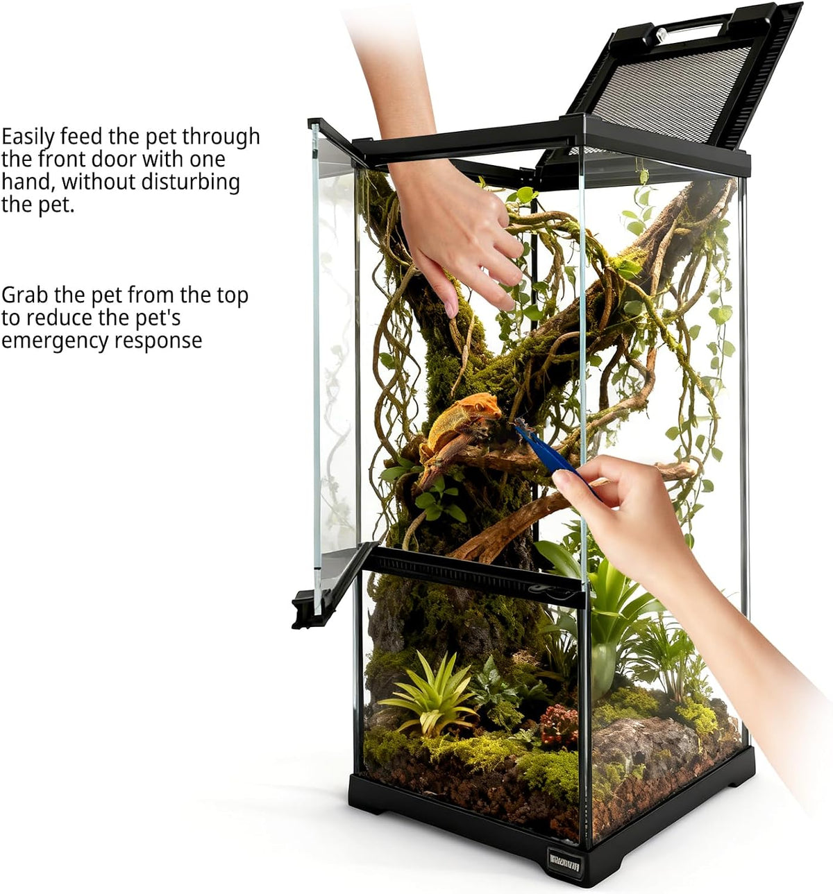 tall reptile glass tank 8"x8"x18" pre-assembled vertical small showing dimensions