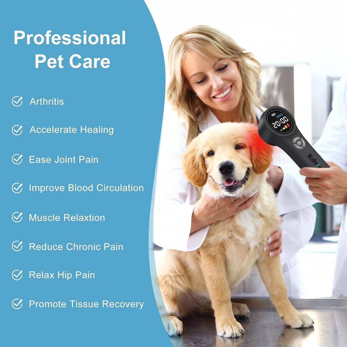 cold laser therapy for dogs, red light therapy shown in use