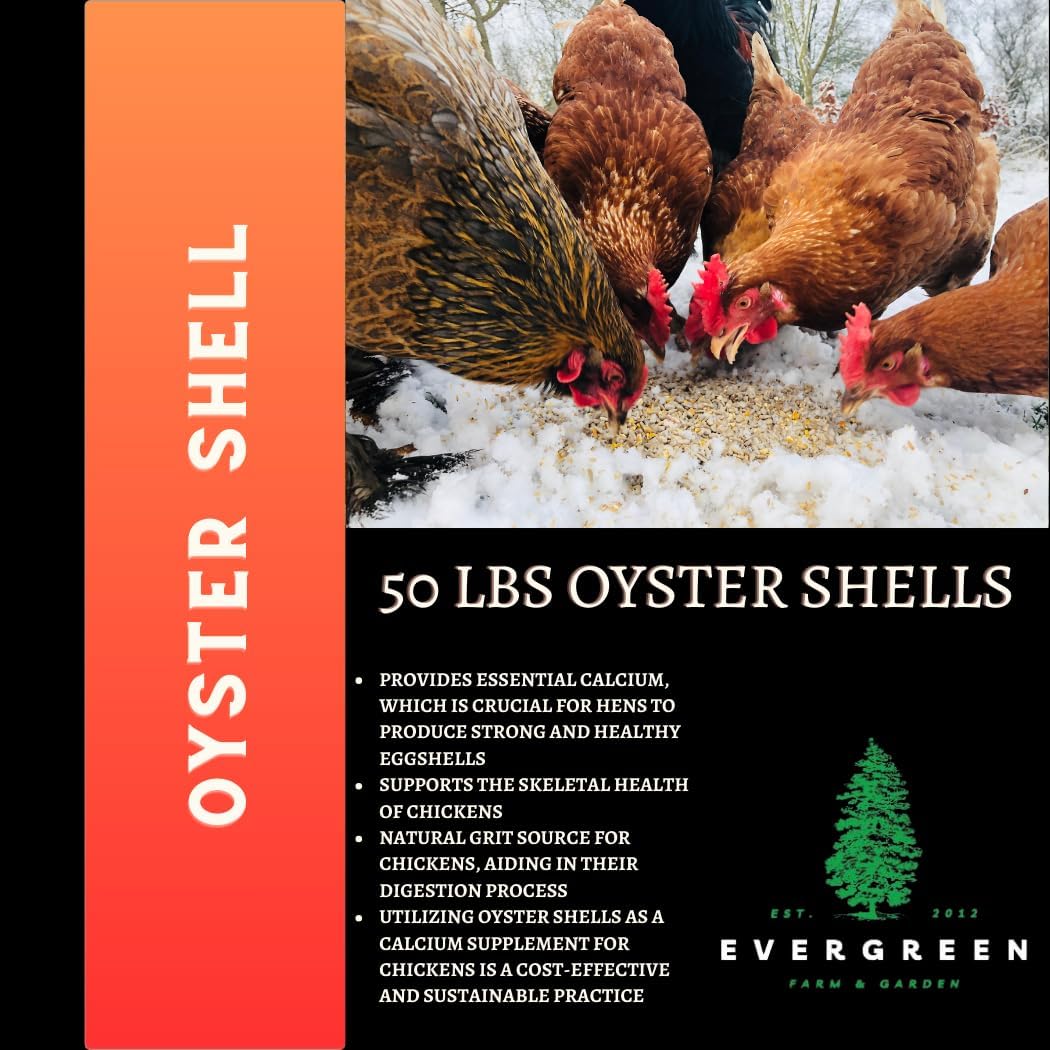 evergreen farm and garden 50 lb bag oyster shown in use