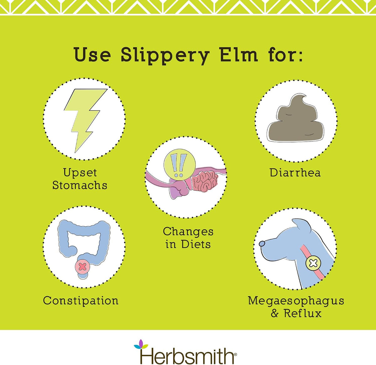herbsmith organic slippery elm - digestive aid for showing dimensions