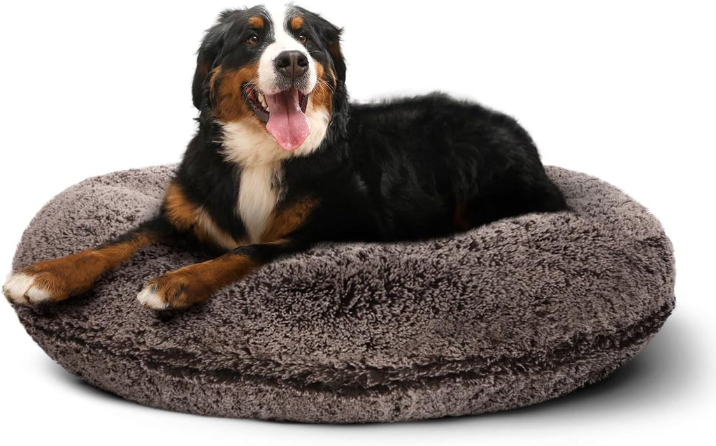 bessie + barnie bagel bed for dogs and shown in use
