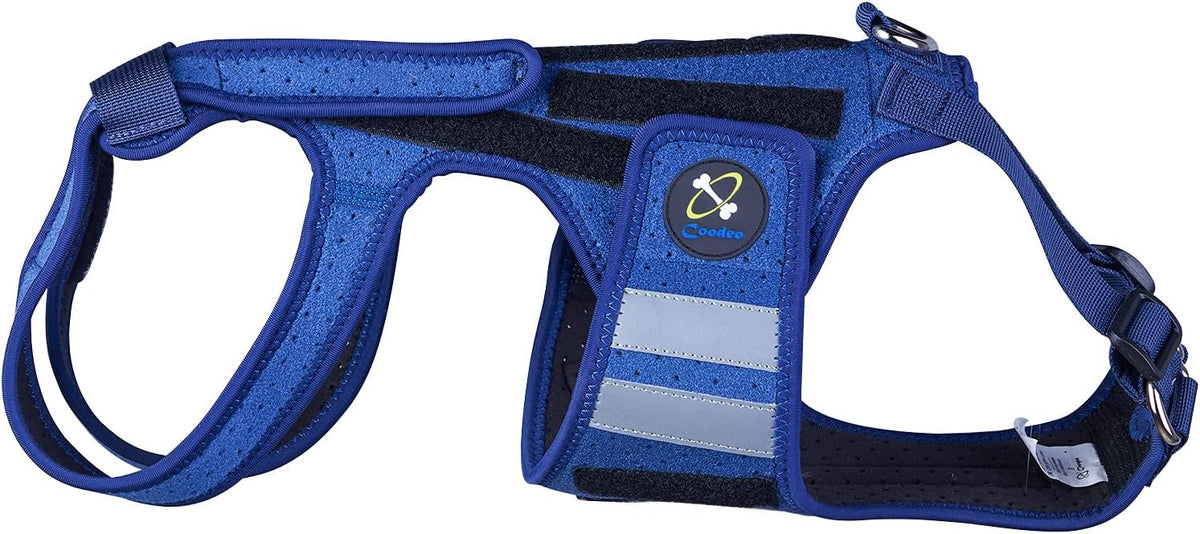 coodeo dog back brace for dogs arthritis, pet shown in use