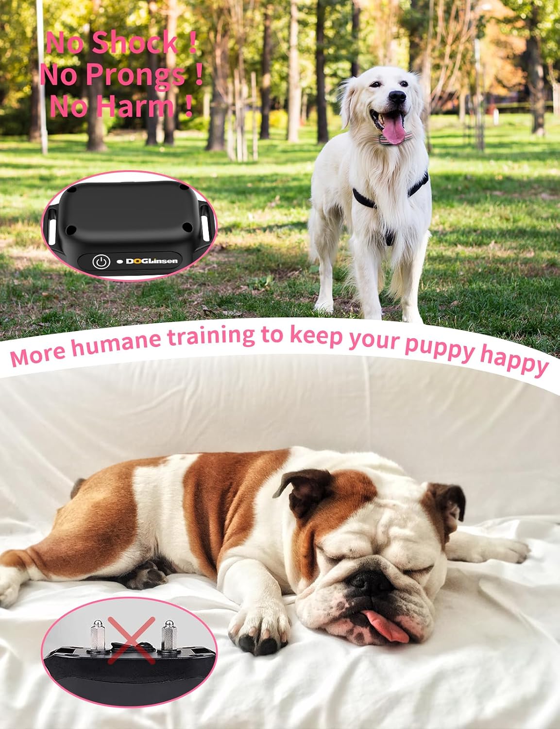 no shock dog training collar 2 dogs shown in use