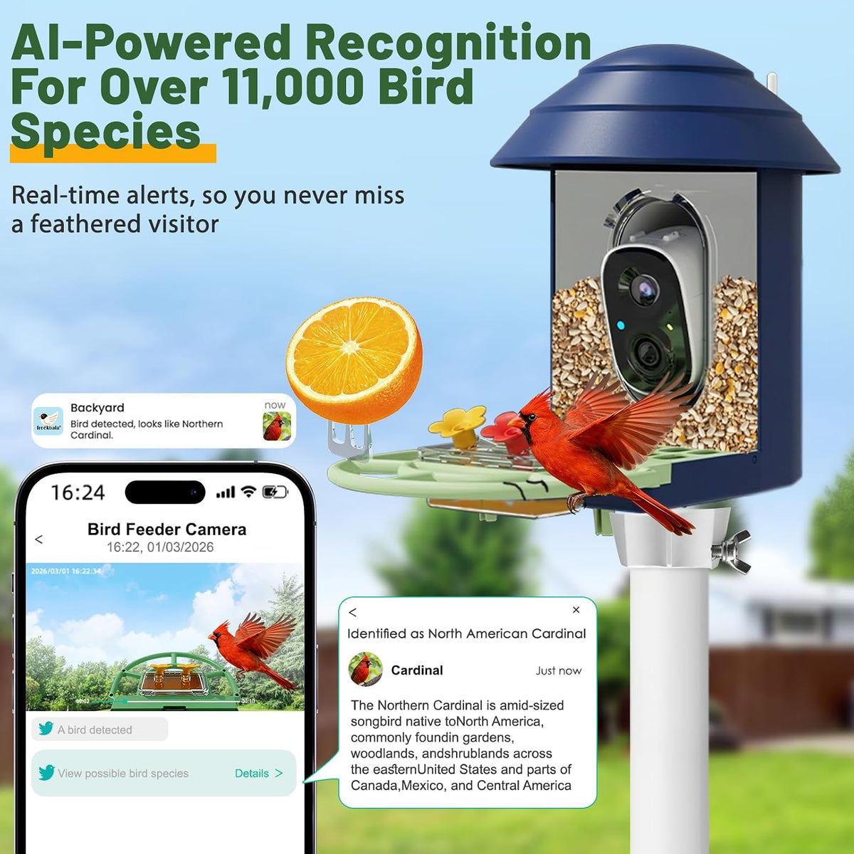 bird feeder with camera 2.4g/5g wifi wireless outdoor showing dimensions