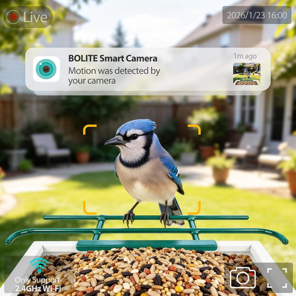 bolite smart bird feeder with camera 2.5k hd showing dimensions