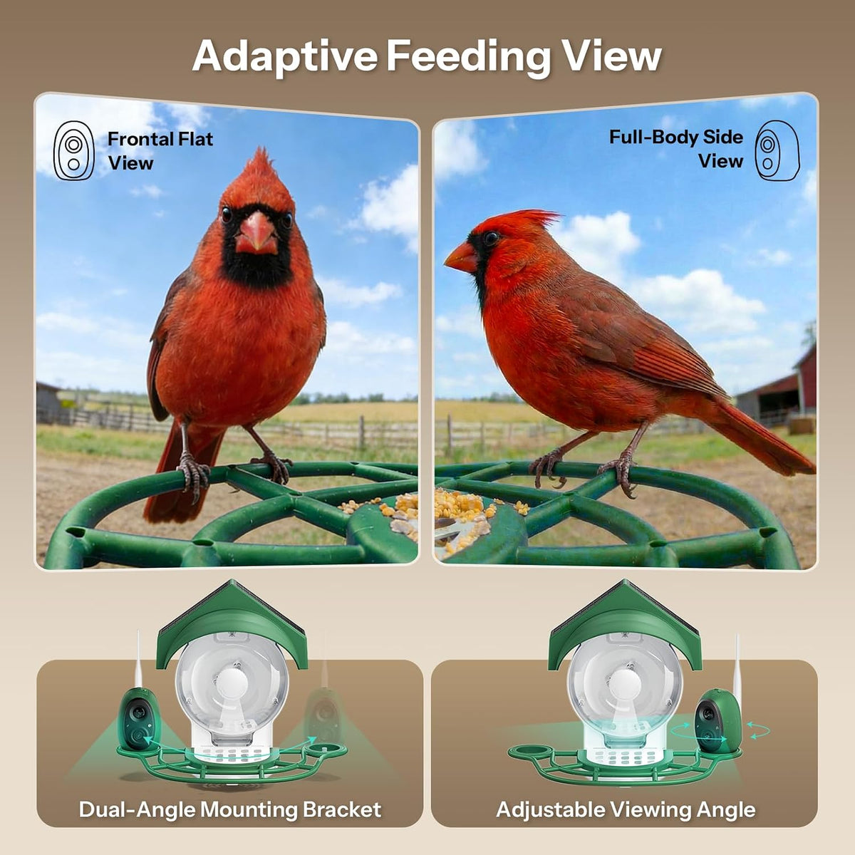 smart bird feeder with camera - 2k hd showing dimensions
