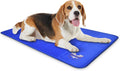 arf pets dog cooling mat - solid gel, main product view