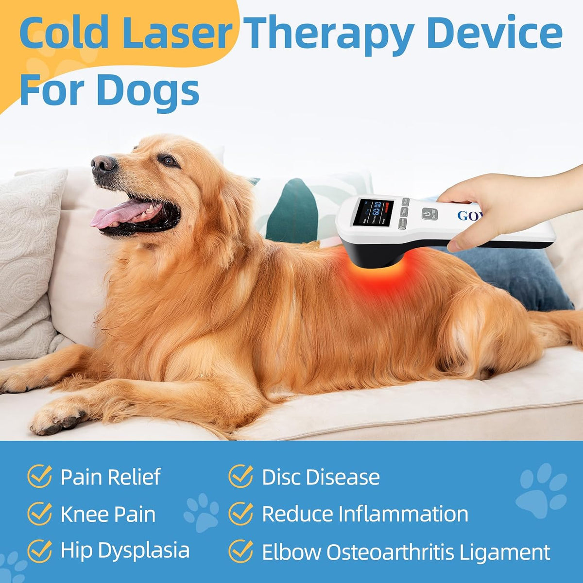 cold laser therapy for dogs, low level laser, close-up detail