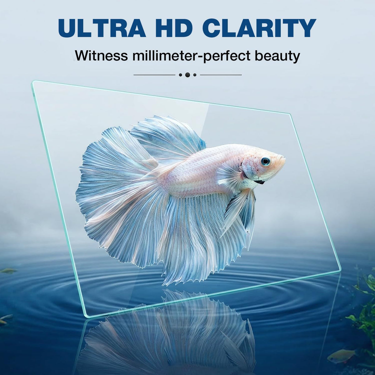 10 gallon rectangular fish tank, rimless ultra clear shown in use