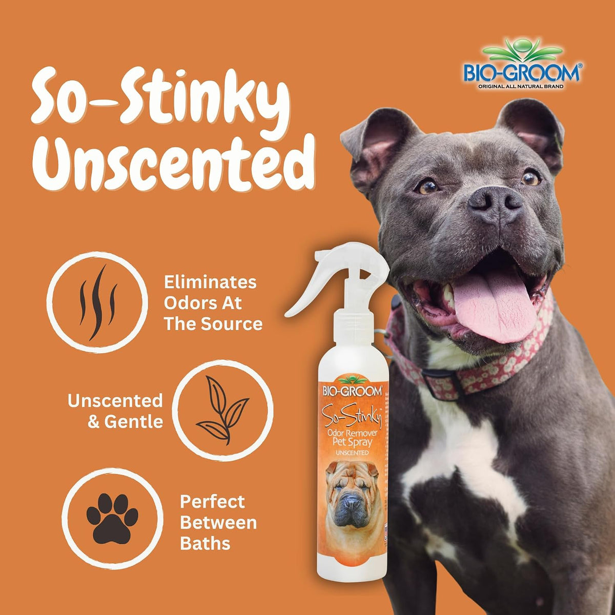bio-groom odor remover pet spray, so-stinky unscented, 1 shown in use
