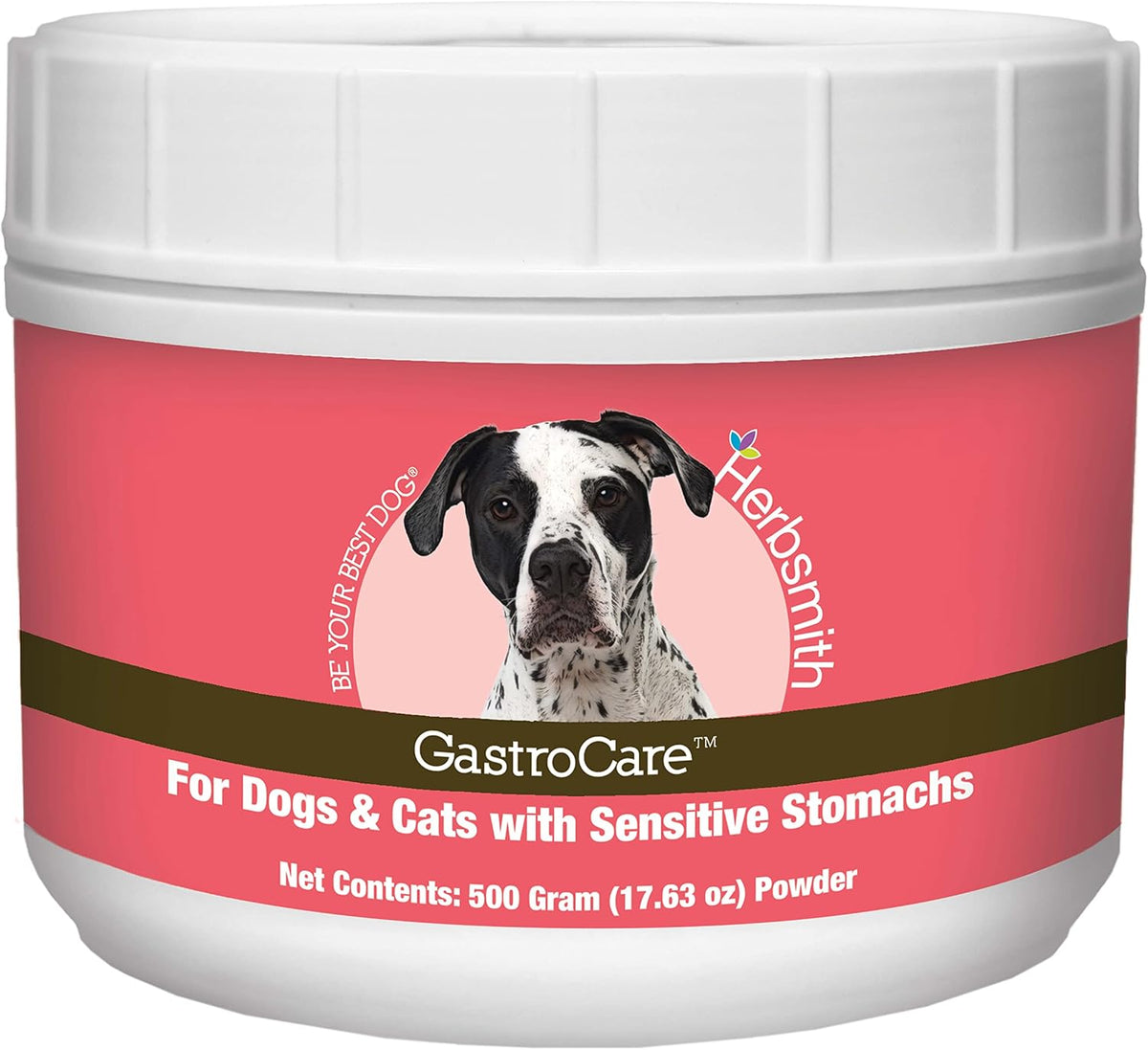 herbsmith gastrocare - for cats & dogs with, main product view