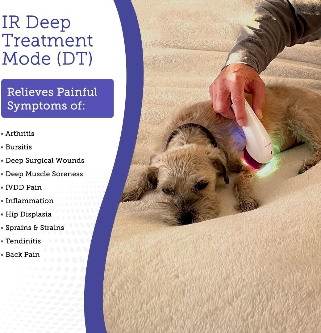 led light therapy for dogs - pain, joint, side view