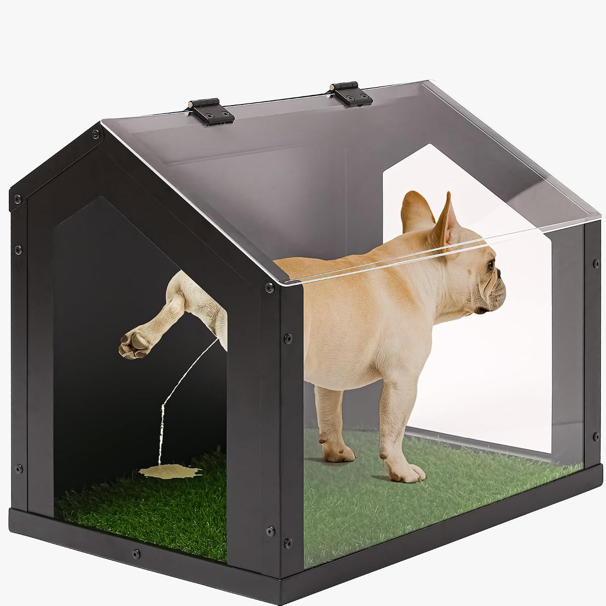 stylish indoor dog potty with high walls, durable, main product view