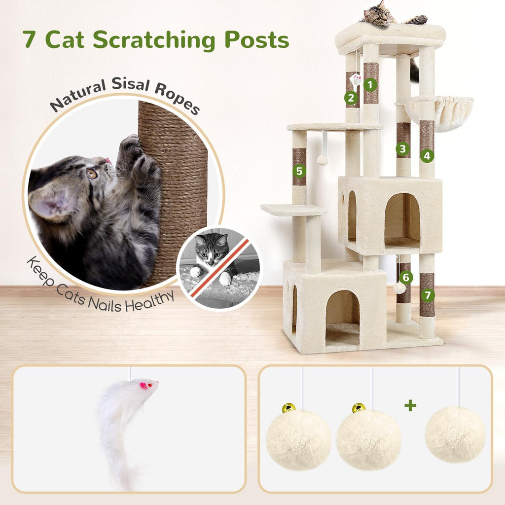 globlazer heavy duty cat trees for big cats showing dimensions