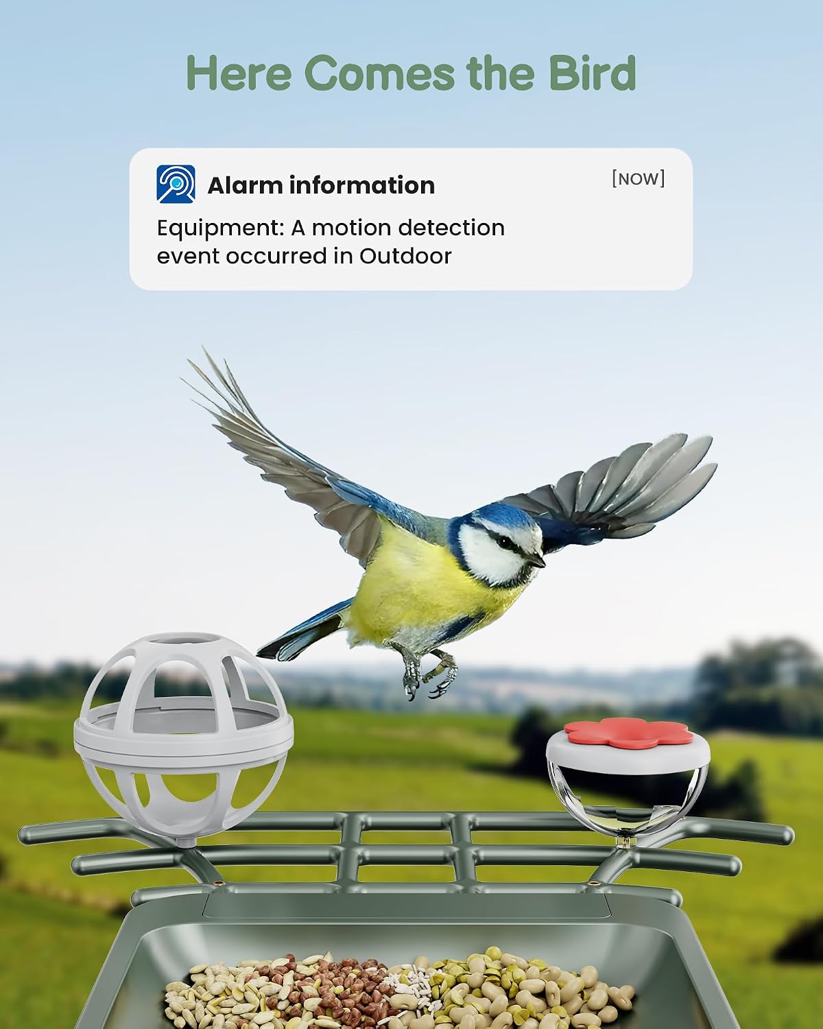 smart bird feeder with camera outdoor: solar birdfeeder shown in use