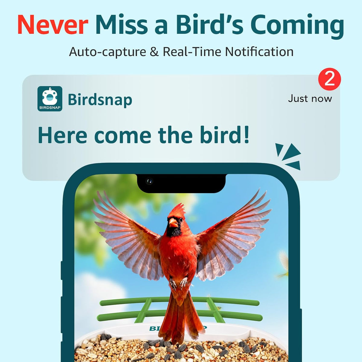 birdsnap® tuc bird feeder with camera solar powered, side view