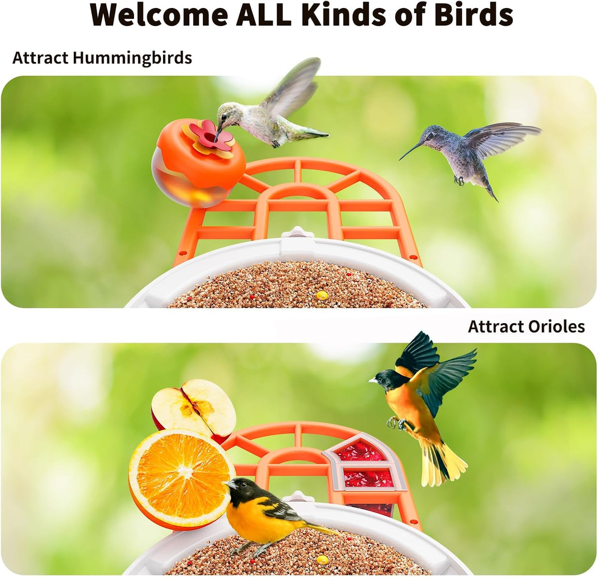 harymor bird feeder with camera, side view
