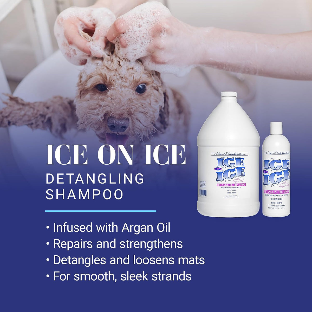 chris christensen ice on ice strengthening dog shampoo shown in use